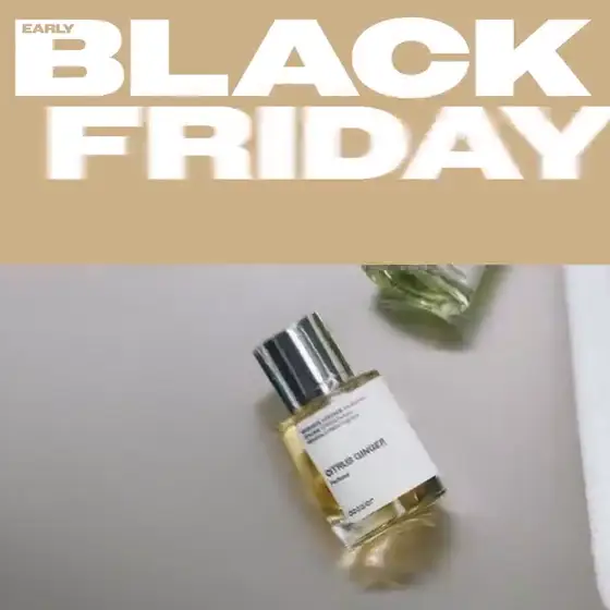 Dossier Black Friday video ad: UP TO 40% OFF